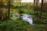 /album/fotogalerie-letohradek-a-obora-hvezda/letohradeka-obora-hvezda-22-jpg1/